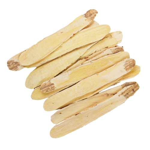 Premium Grade Astragalus | 特级黄芪